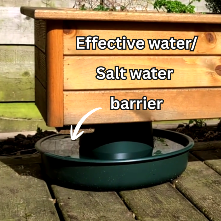 slug moat to protect plants