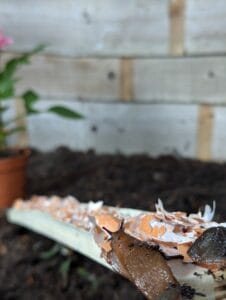 natural pet safe slug deterrent