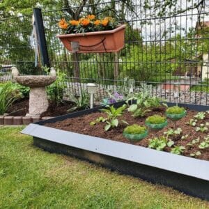 slug collar and slug fence as a slug barrier, slug prevention