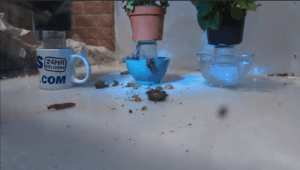 using a water barrier or moat design to stop slugs