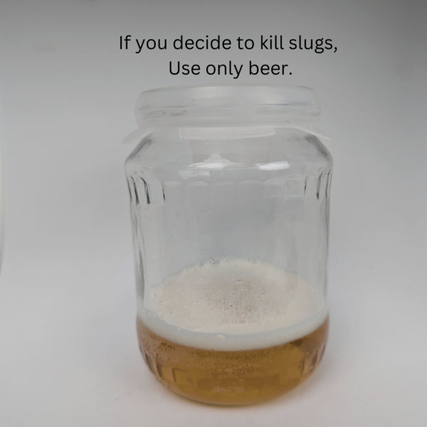beer slug killer
