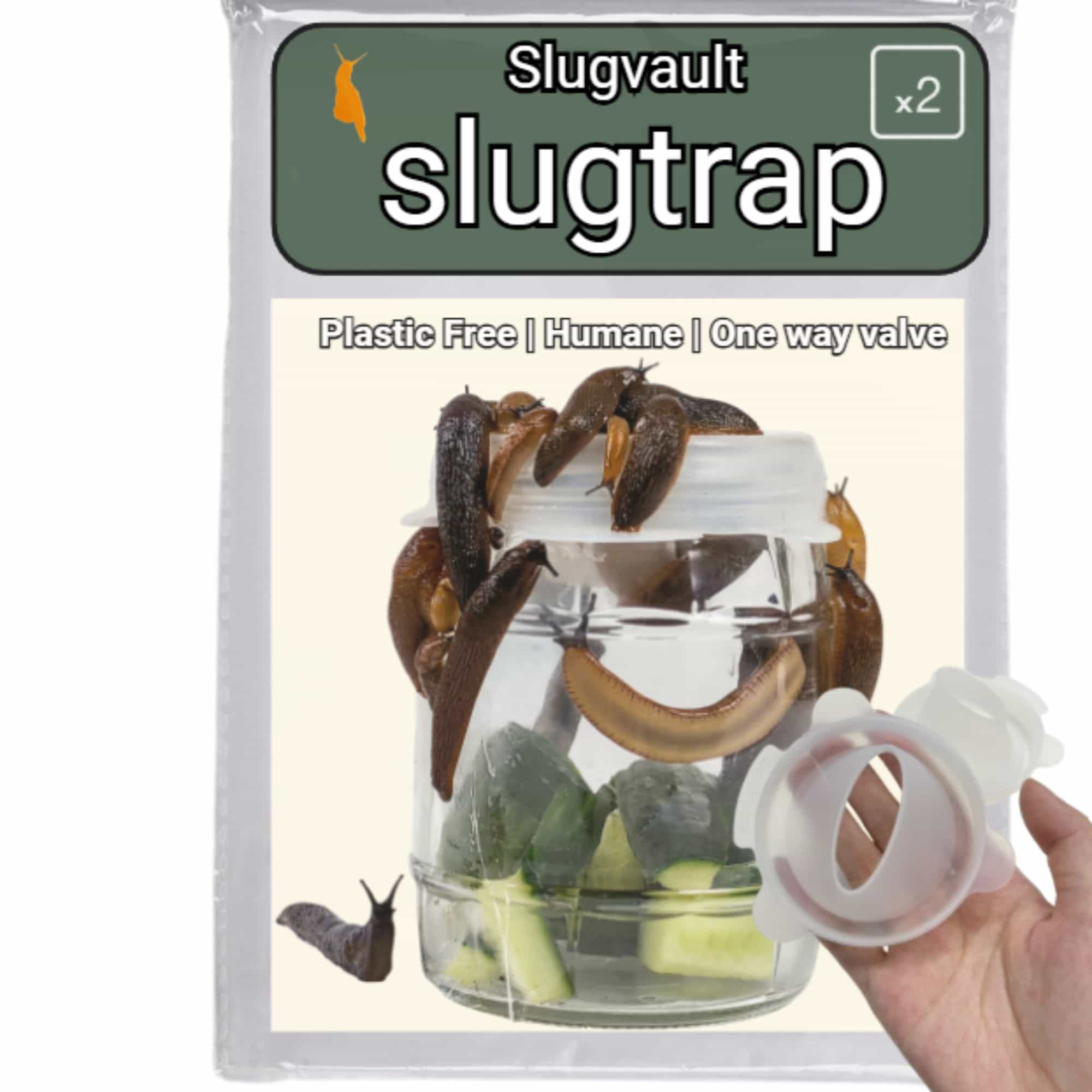 slug beer trap uk outdoor or indoor slug trap