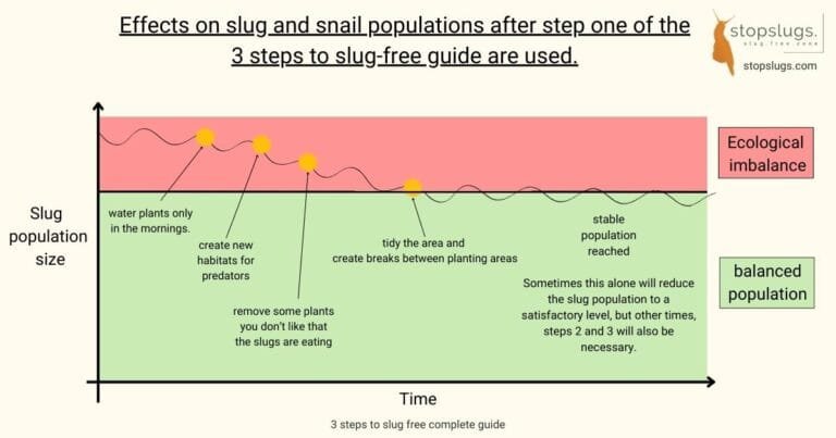 How to get rid of slugs from your garden in 3 steps. Complete guide ...