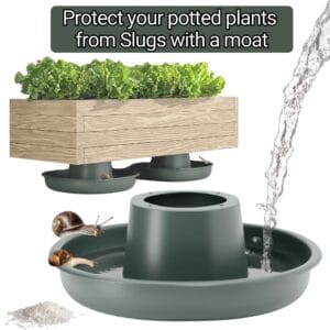 a way to deter slugs and snails from eating your balcony plants