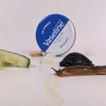 Can you use vaseline to stop slugs and snails getting into your plants?