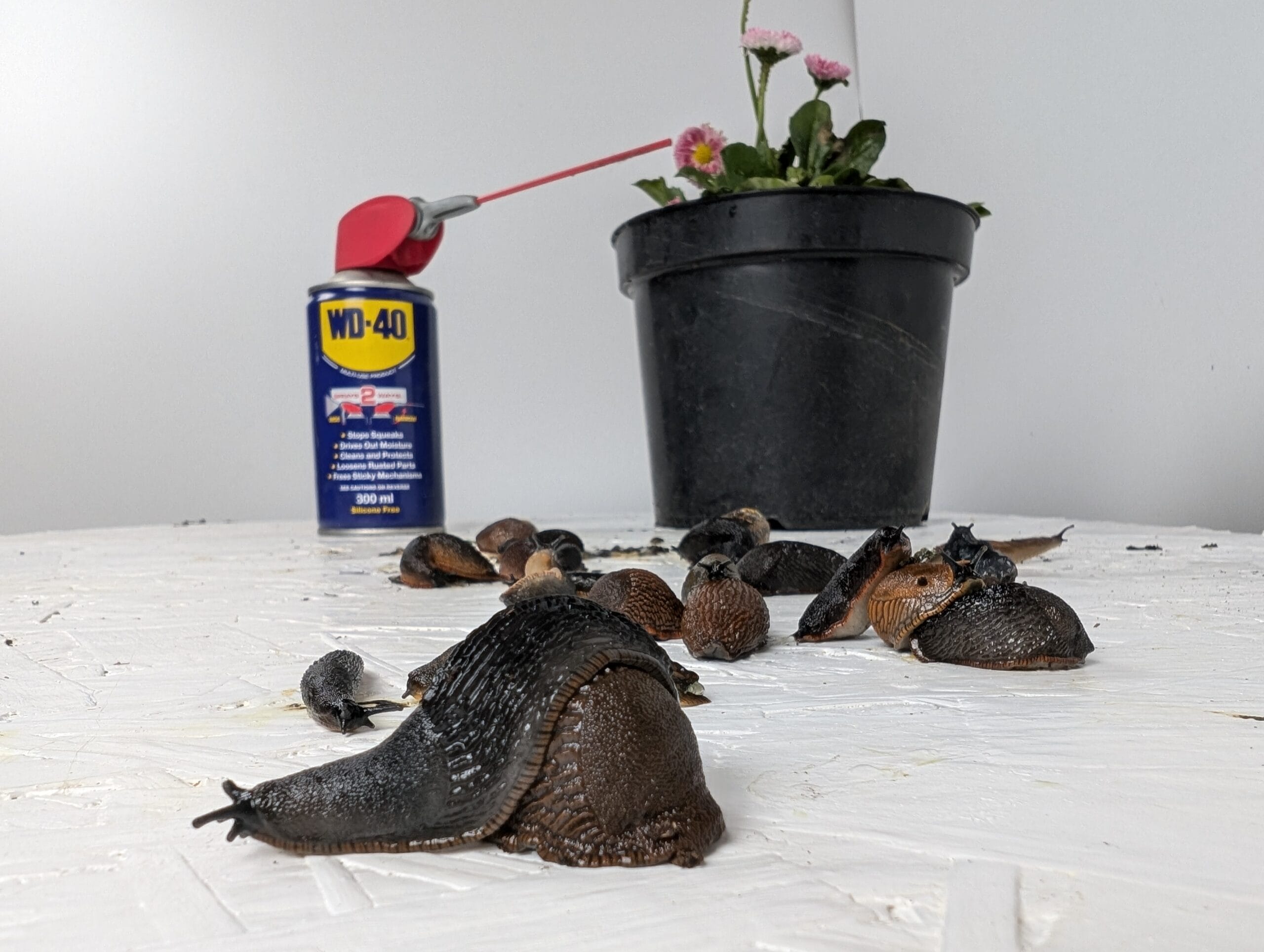 Can WD40 be used as a slug and snail deterrent and stop them climing up pots