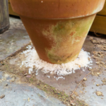 salt being used in a sheltered area